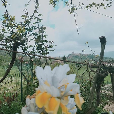 דירות מונטה קטיני ואל די צ'צ'ינה I Castagnini מראה חיצוני תמונה
