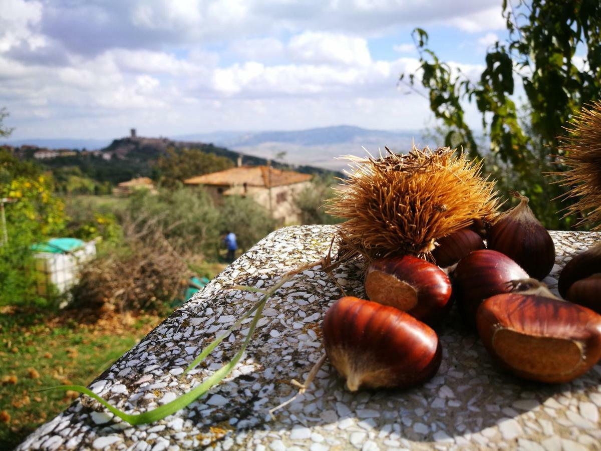 דירות מונטה קטיני ואל די צ'צ'ינה I Castagnini מראה חיצוני תמונה